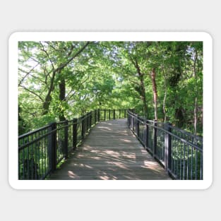 Walkway  through the woods Sticker